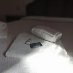 Gina A - Lido Di Pomposa Dom wakacyjny *