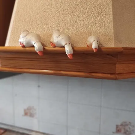 Gina A - Lido Di Pomposa Casa de Férias San Giuseppe (Ferrara)