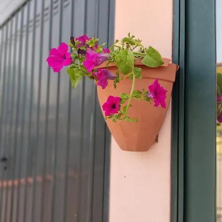 Дом отдыха Gina A - Lido Di Pomposa Сан-Джузеппе