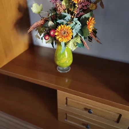 Gina A - Lido Di Pomposa * San Giuseppe (Ferrara)