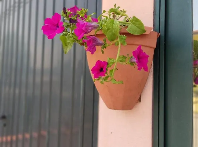 Ferienhaus Gina A - Lido Di Pomposa San Giuseppe (Ferrara)