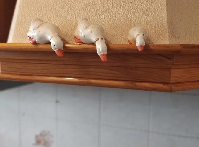 Gina A - Lido Di Pomposa 펜션 산 지우세페